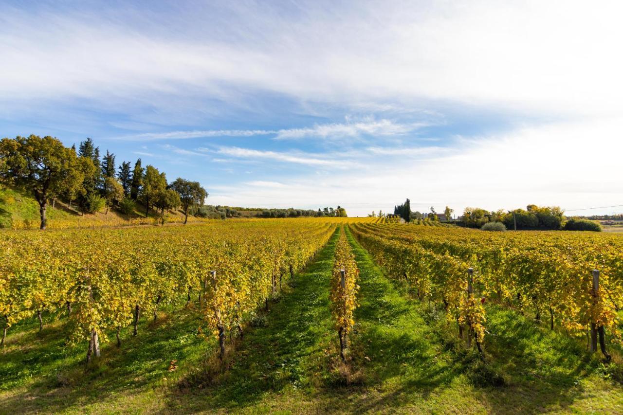 Agriturismo Ai Prati Lazise Kültér fotó
