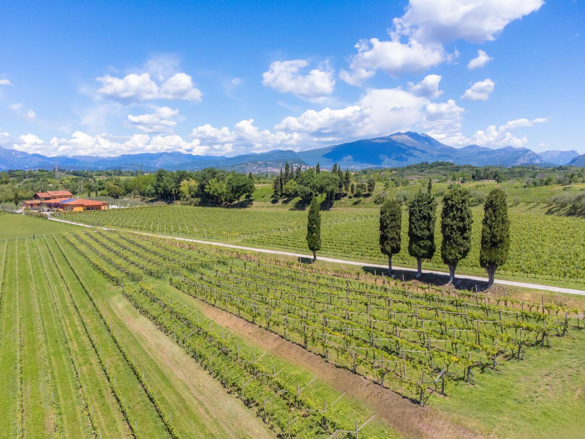 Agriturismo Ai Prati Lazise Kültér fotó